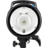 Вспышка студийная Elinchrom D-Lite RX 4 (400Дж)